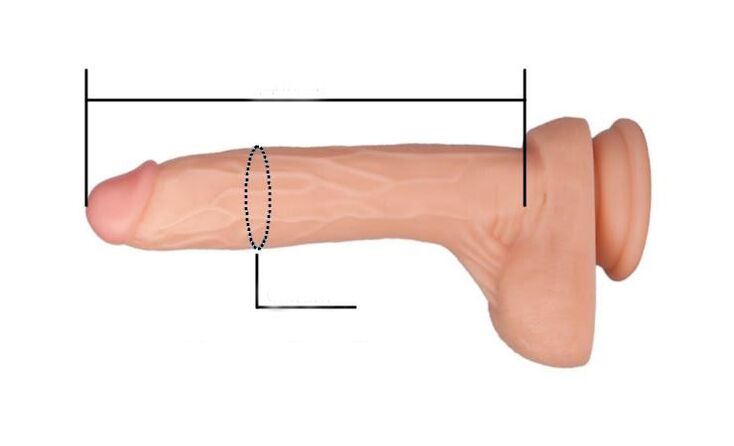 jak změřit velikost penisu